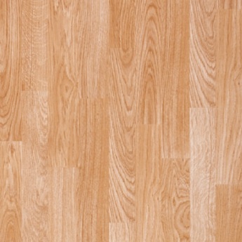 Forest oak